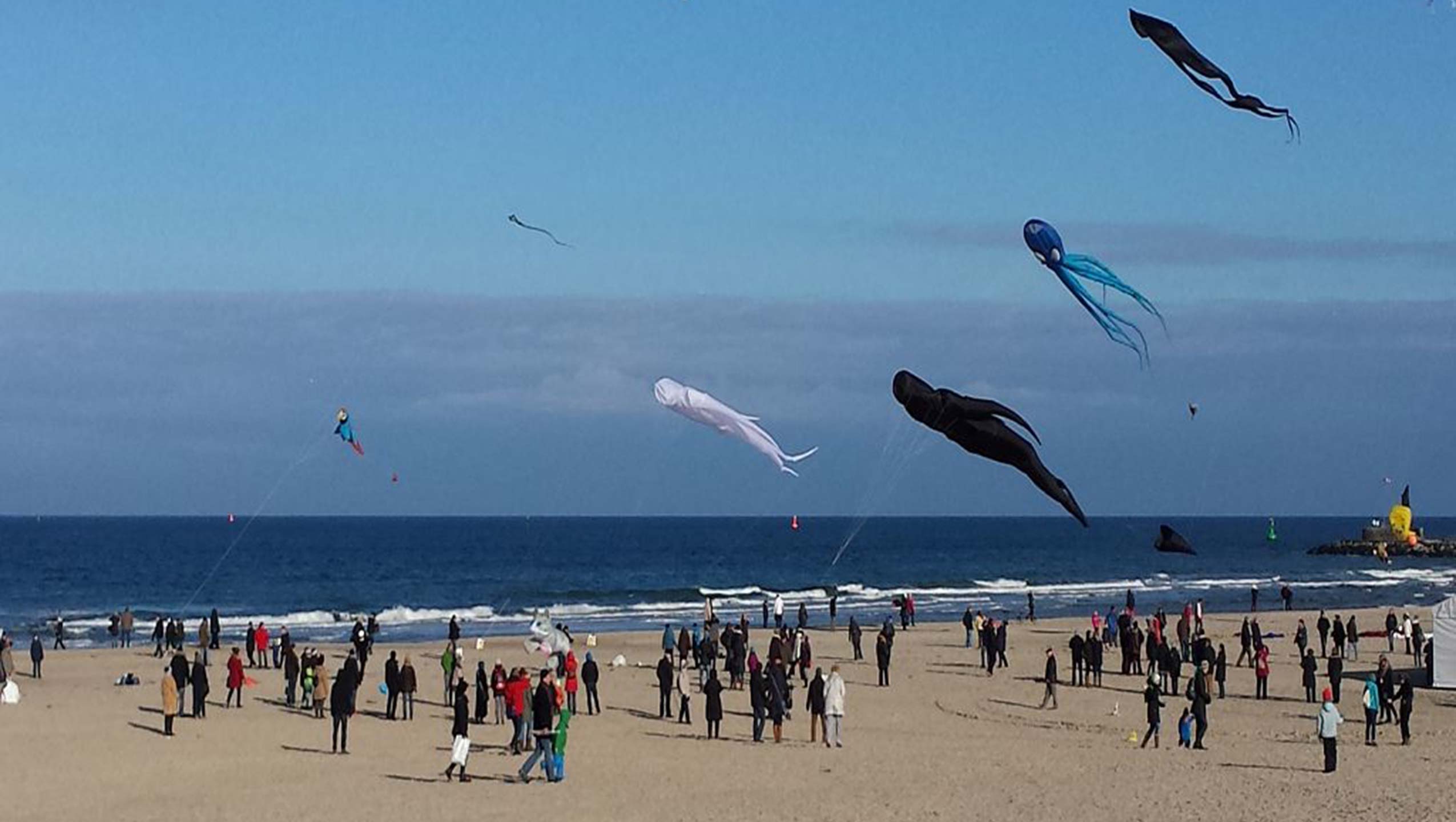 BildungsZukunft - Führung für alle!